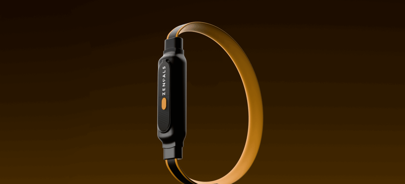 Dog Collar 4