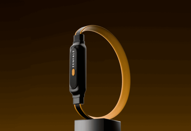 Dog Collar 4