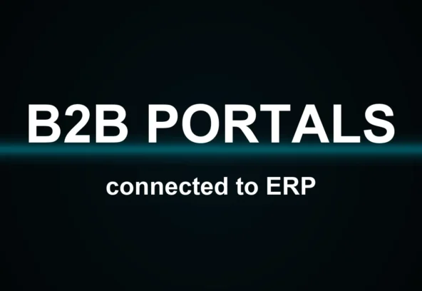 B2B customer portals and ERP integration guide