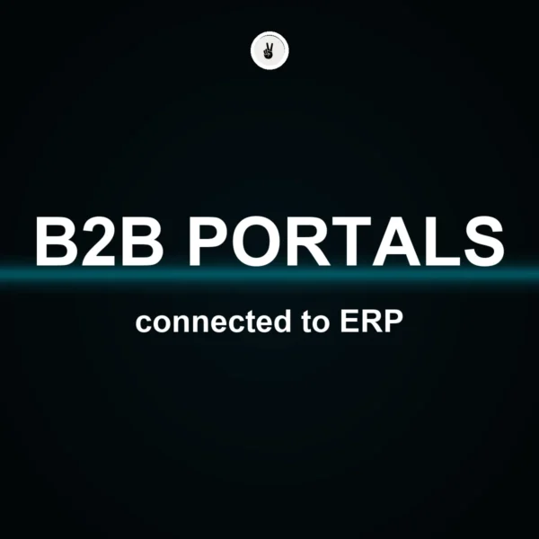 B2B customer portals and ERP integration guide